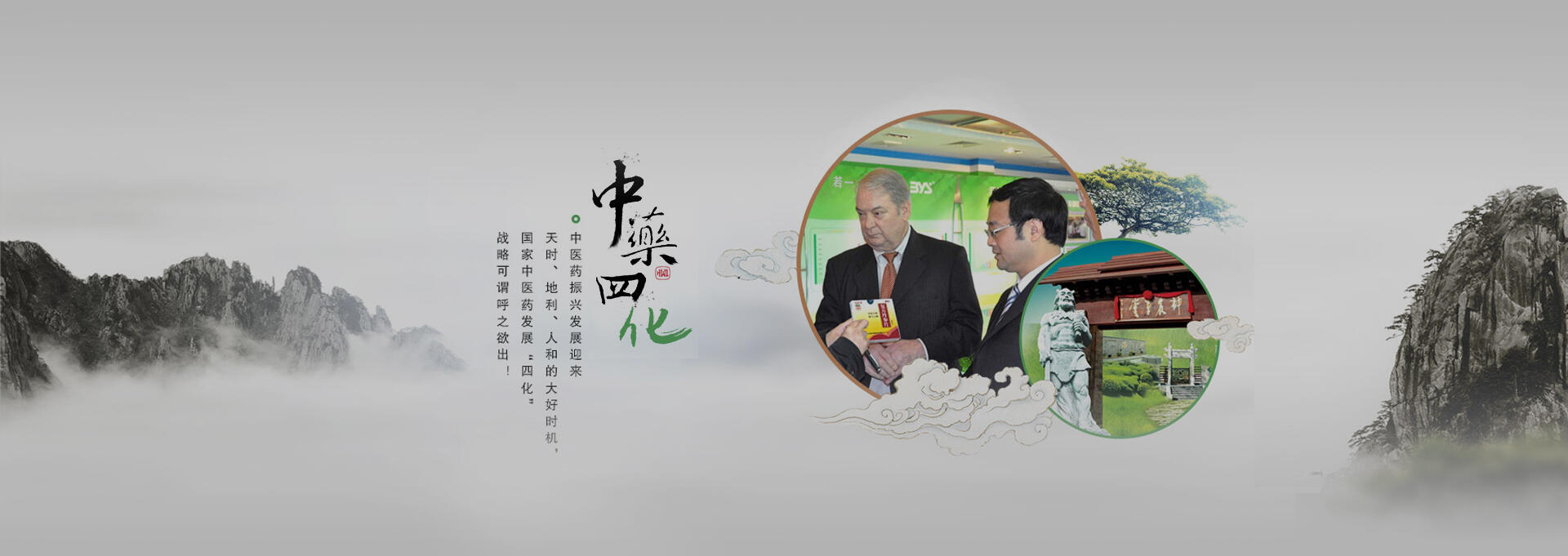 崖州建站-若一医药科技