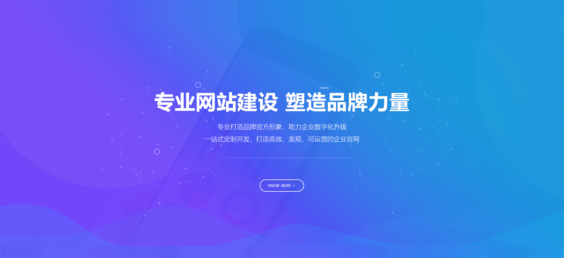 海棠建站-专业网站建设 塑造品牌力量