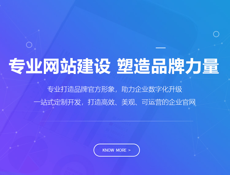 海棠建站-专业网站建设 塑造品牌力量